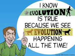 Eu sei que a evolução é verdadeira porque vemos a evolução acontecer permanentemente